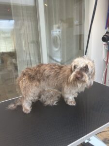 Before