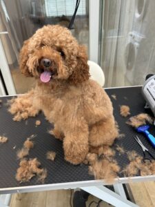 Before