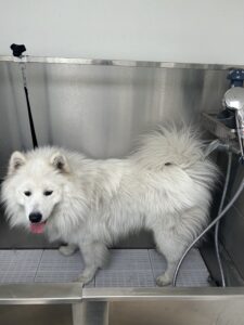 Before